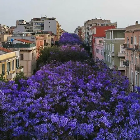 Apartamento A 2 Passi Da Tutto